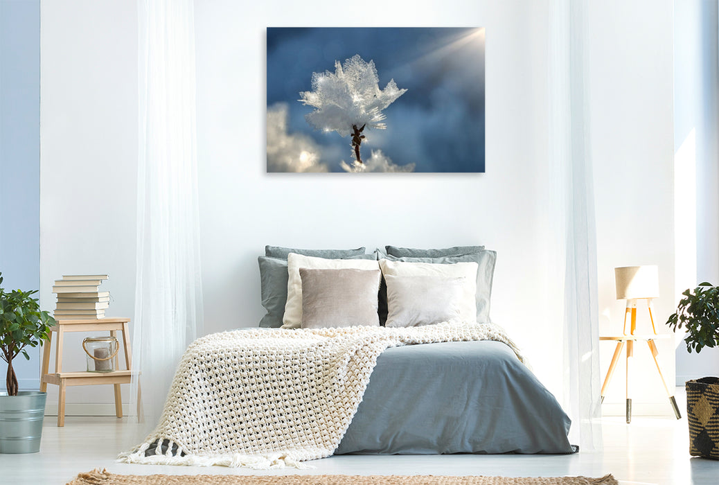 Premium Textil-Leinwand Kristallblüte im Sonnenschein