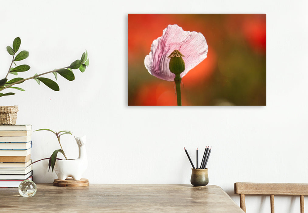 Premium Textil-Leinwand Verletzliche Schönheit