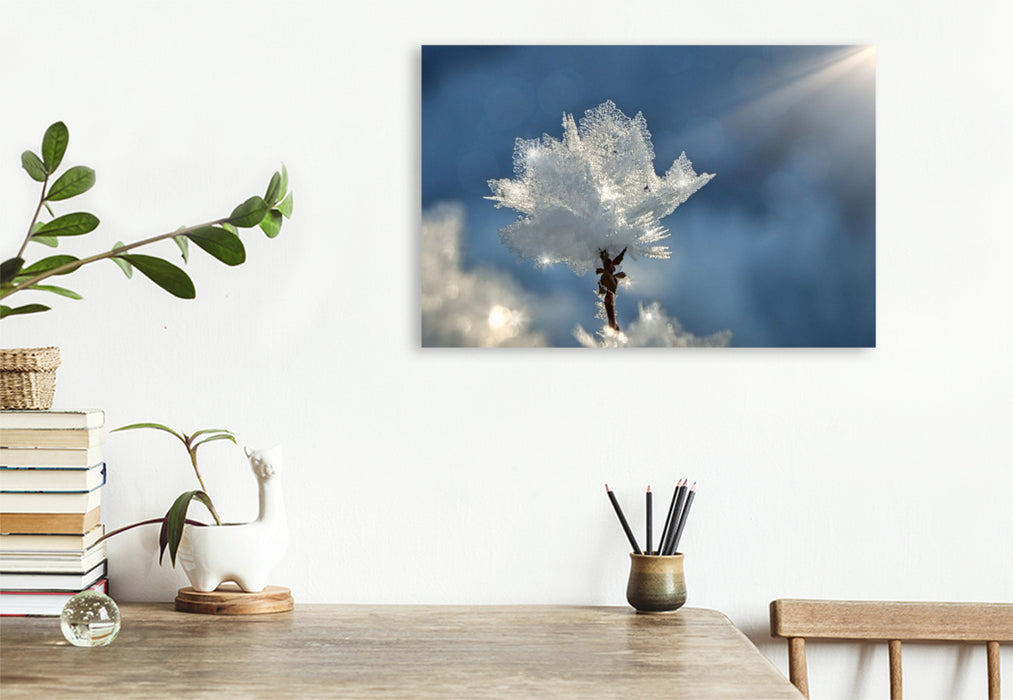 Premium Textil-Leinwand Kristallblüte im Sonnenschein