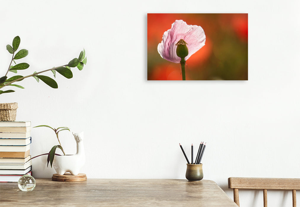 Premium Textil-Leinwand Verletzliche Schönheit