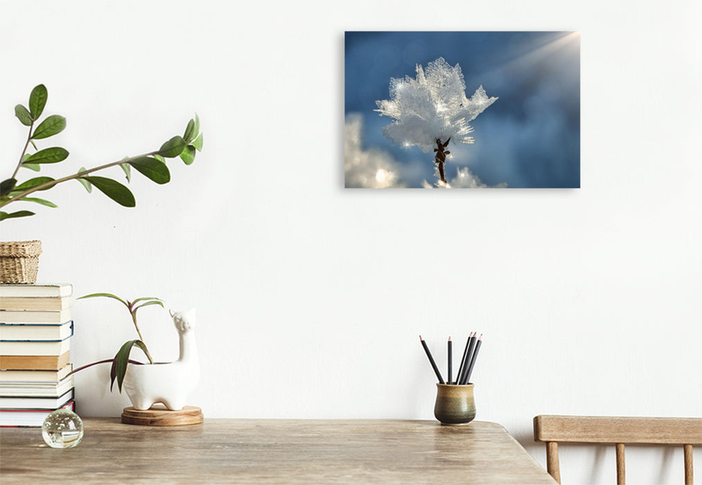 Premium Textil-Leinwand Kristallblüte im Sonnenschein