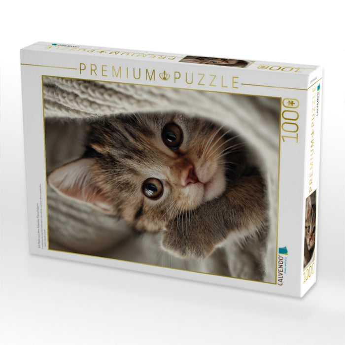 Ein Motiv aus dem Kalender Flauschalarm - CALVENDO Foto-Puzzle'