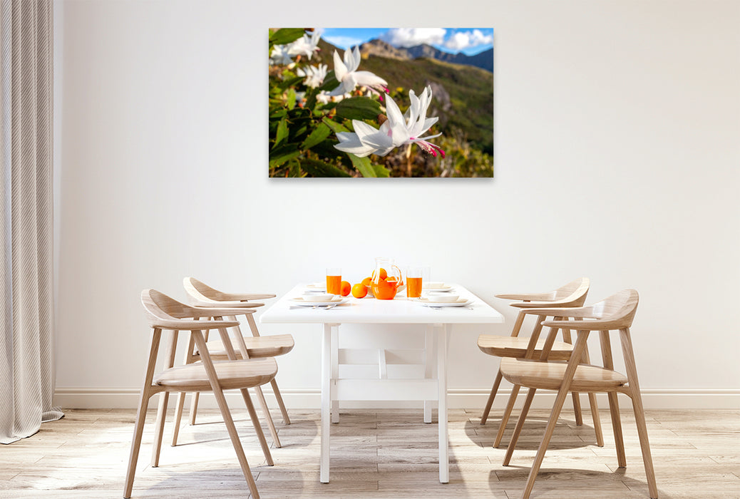 Premium Textil-Leinwand Schlumbergera - Weihnachtskaktus in natürlicher Umgebung