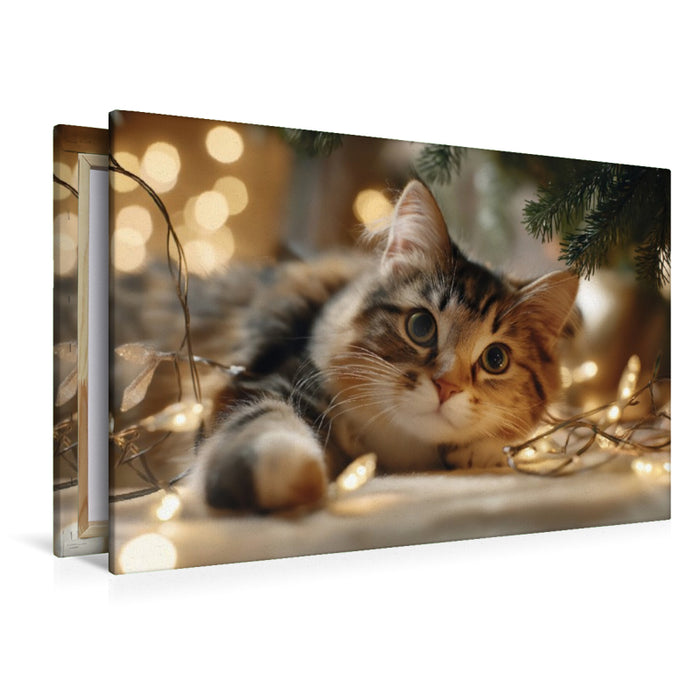 Premium Textil-Leinwand Weihnachten auf Samtpfoten