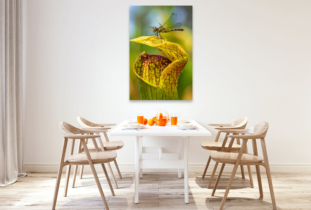 Premium Textil-Leinwand Fleischfressende Sarracenia mit Besucher