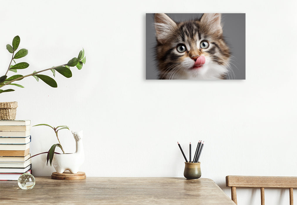 Premium Textil-Leinwand Ein Motiv aus dem Kalender Miau macht glücklich