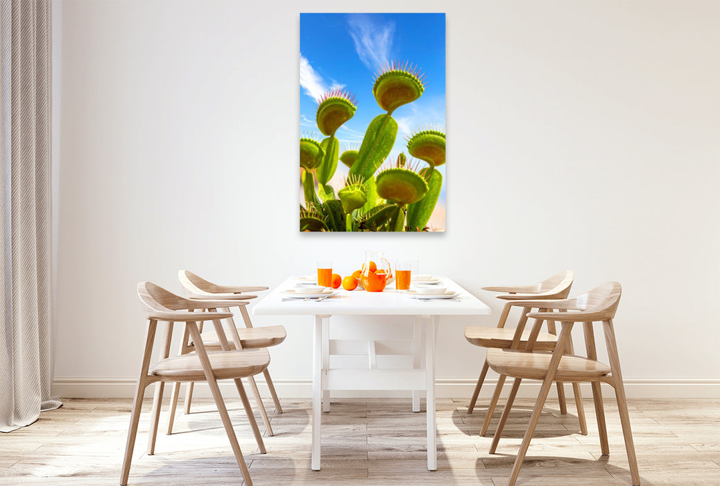 Premium Textil-Leinwand Venusfliegenfallen - Fleischfressende Pflanze