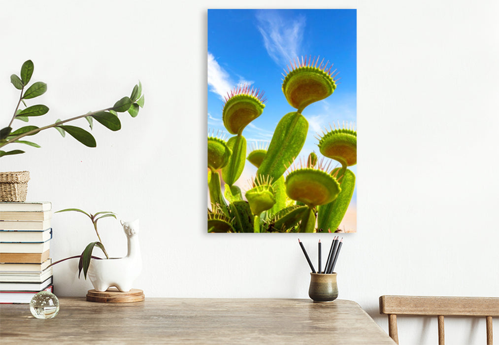 Premium Textil-Leinwand Venusfliegenfallen - Fleischfressende Pflanze