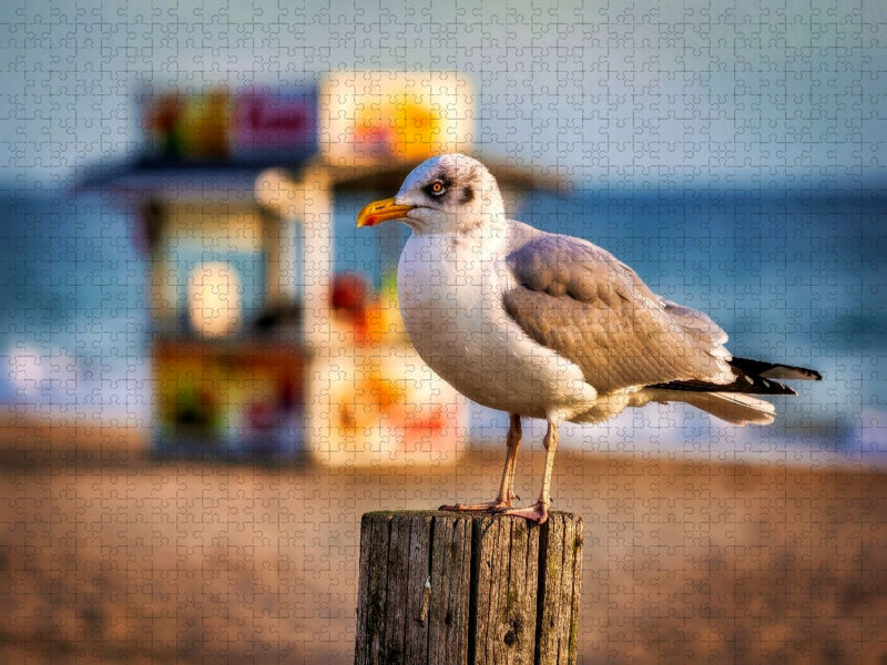 Exklusive Ruhe am endlosen Meer. - CALVENDO Foto-Puzzle'