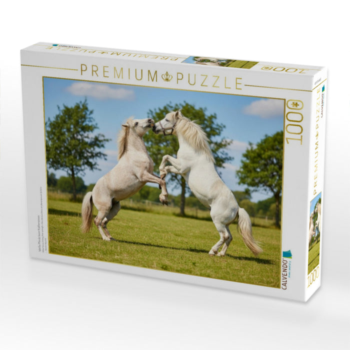Weiße Pferde beim Kräftemessen - CALVENDO Foto-Puzzle'