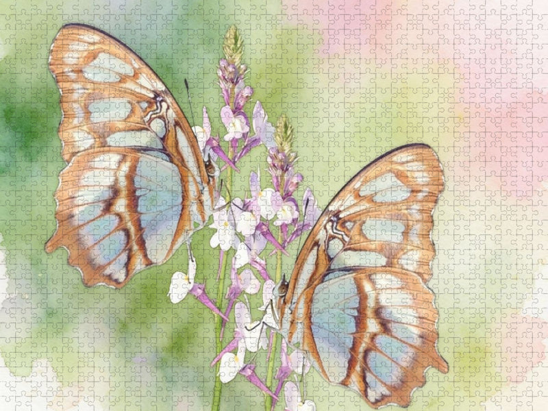 Siproeta stelenes - CALVENDO Foto-Puzzle'