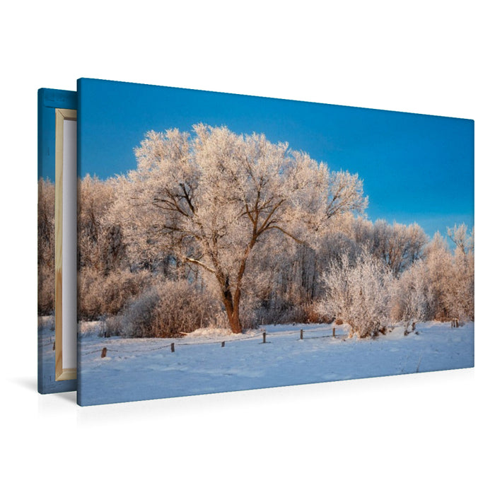 Premium Textil-Leinwand Verschneite Bäume am Wilseder Berg,Deutschland