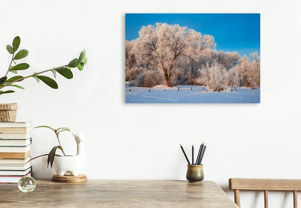 Premium Textil-Leinwand Verschneite Bäume am Wilseder Berg,Deutschland