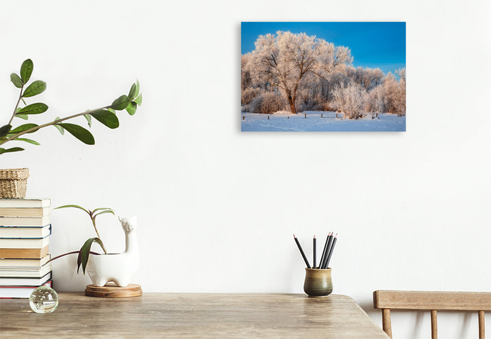 Premium Textil-Leinwand Verschneite Bäume am Wilseder Berg,Deutschland