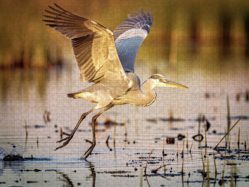 Ein Moment Ruhe, ein Flügelschlag Freiheit. - CALVENDO Foto-Puzzle'