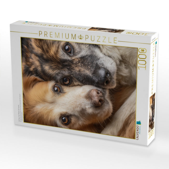 Ein Herz. Vier Pfoten. Für immer - CALVENDO Foto-Puzzle'