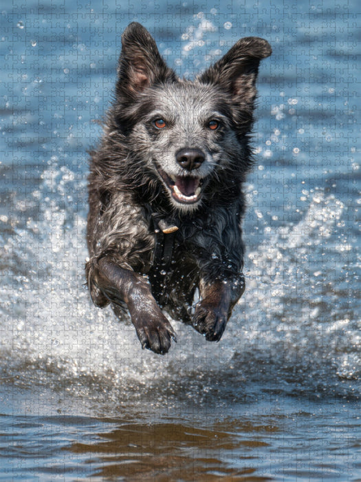 Plitsch, Platsch ist das ein SPass - CALVENDO Foto-Puzzle'