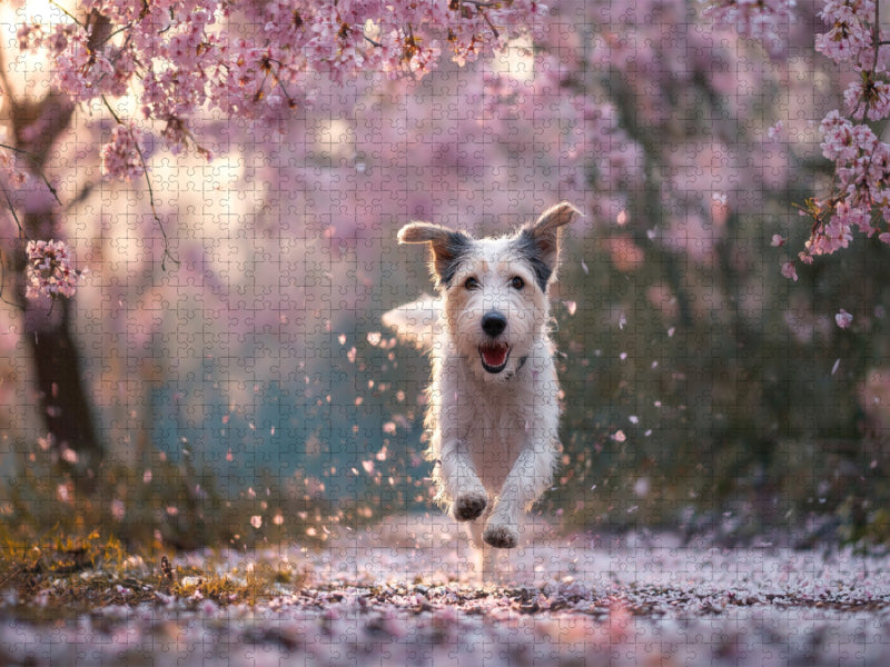 Frühling im Herzen und Blüten im Fell - CALVENDO Foto-Puzzle'