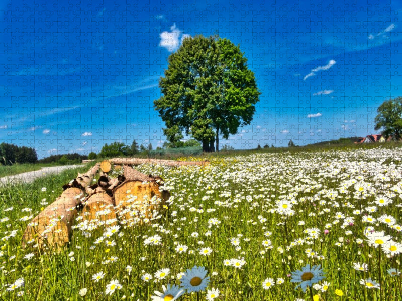 Frühlingswiese - CALVENDO Foto-Puzzle'