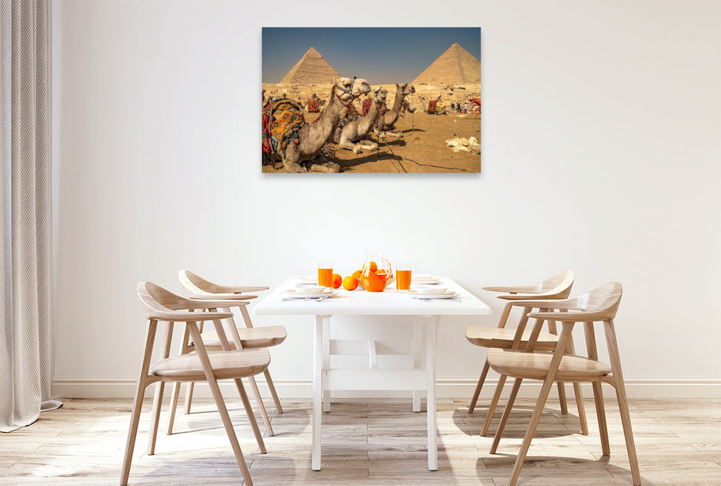 Premium Textil-Leinwand Kamele bei den Pyramiden
