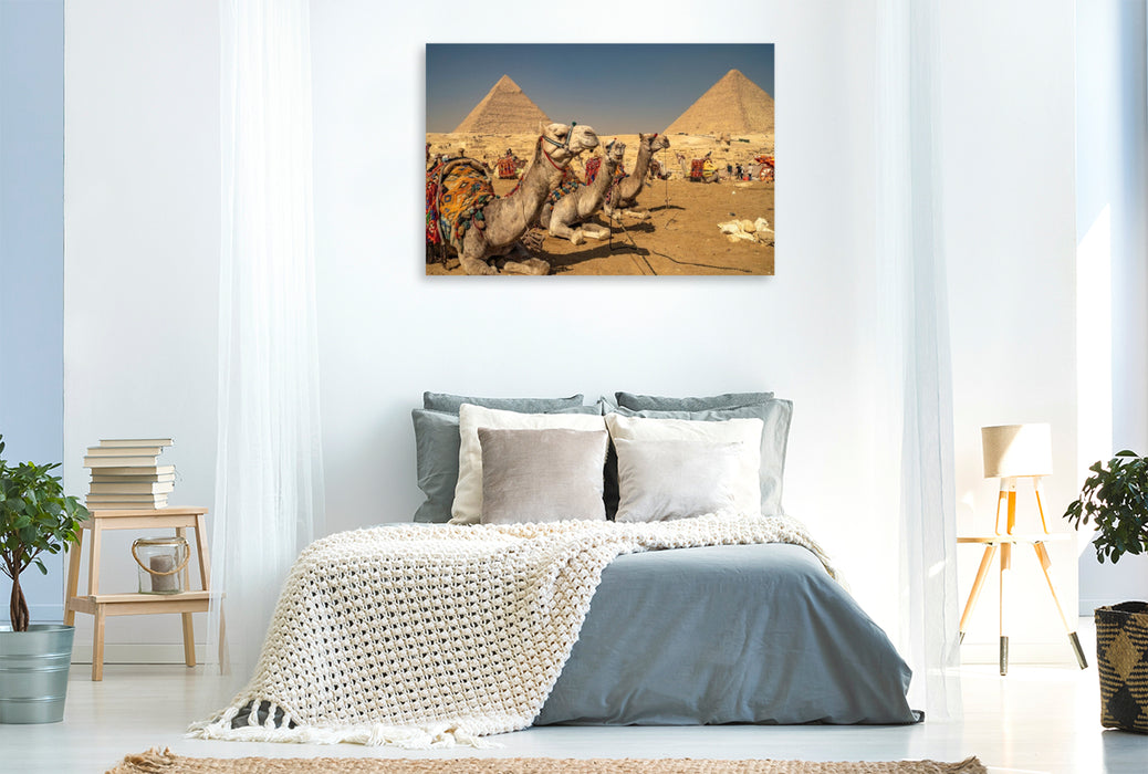 Premium Textil-Leinwand Kamele bei den Pyramiden