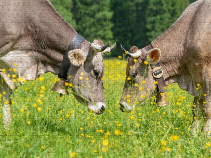 Kontaktaufnahme - CALVENDO Foto-Puzzle'