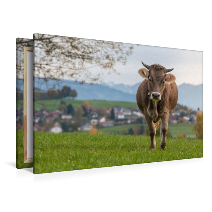 Premium Textil-Leinwand Laufendes Rind