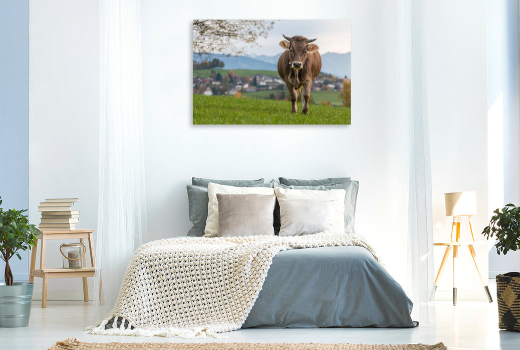 Premium Textil-Leinwand Laufendes Rind