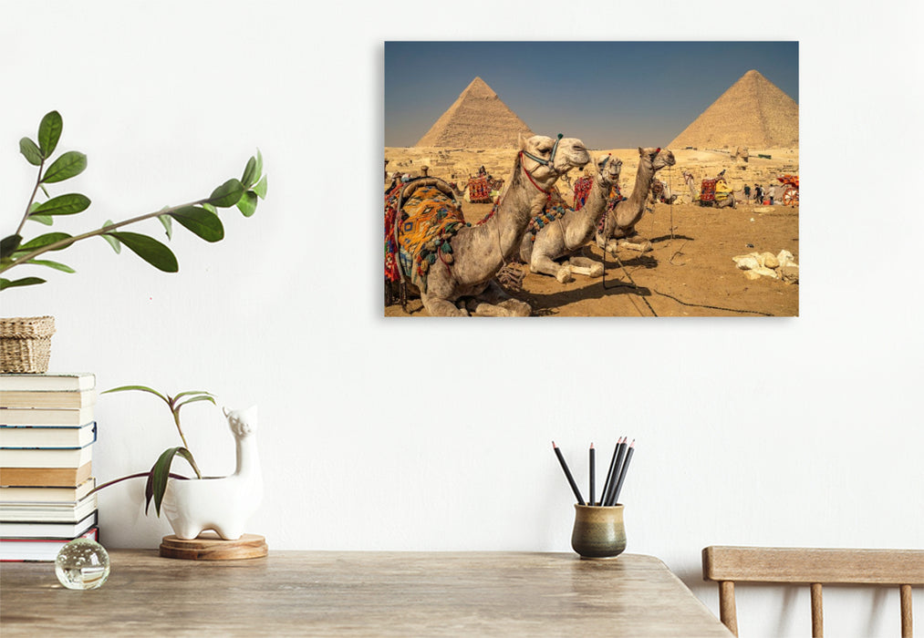 Premium Textil-Leinwand Kamele bei den Pyramiden