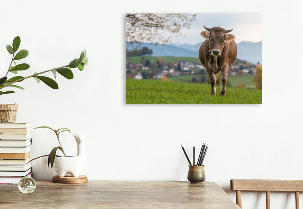 Premium Textil-Leinwand Laufendes Rind