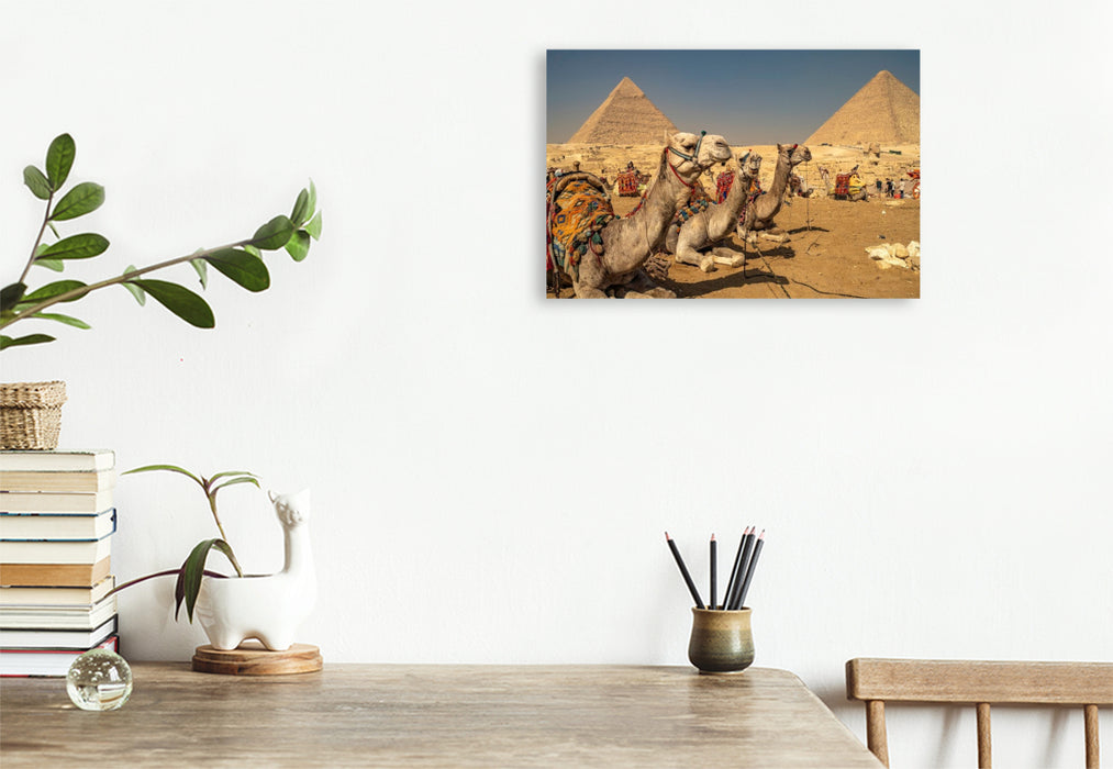 Premium Textil-Leinwand Kamele bei den Pyramiden