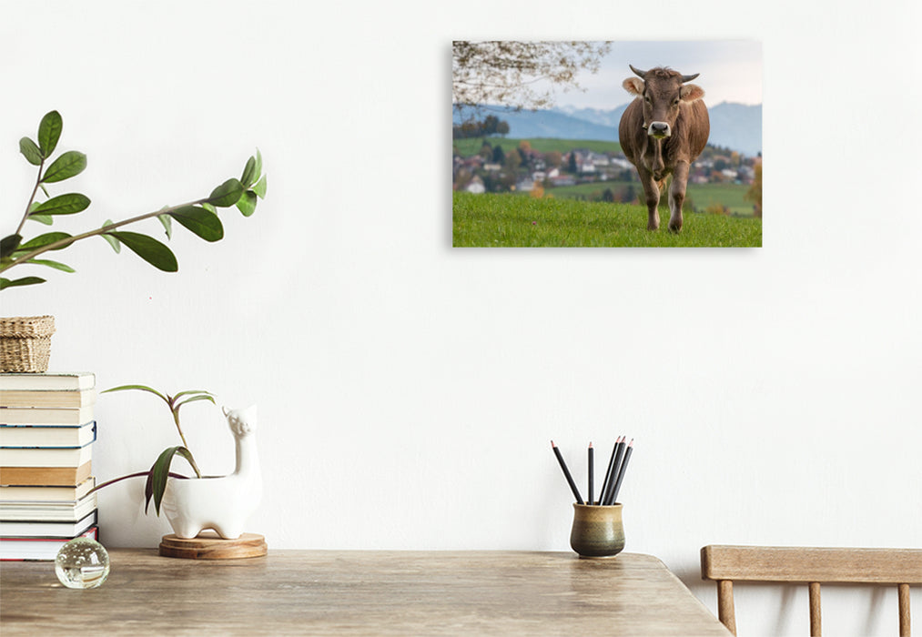Premium Textil-Leinwand Laufendes Rind