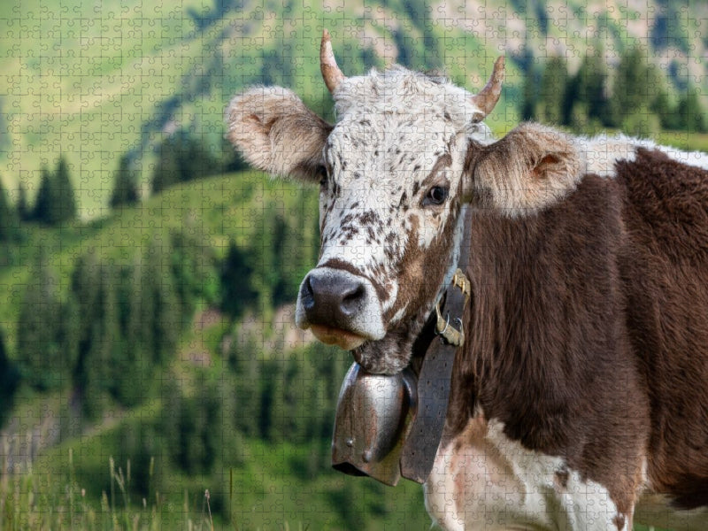 Blüem - CALVENDO Foto-Puzzle'