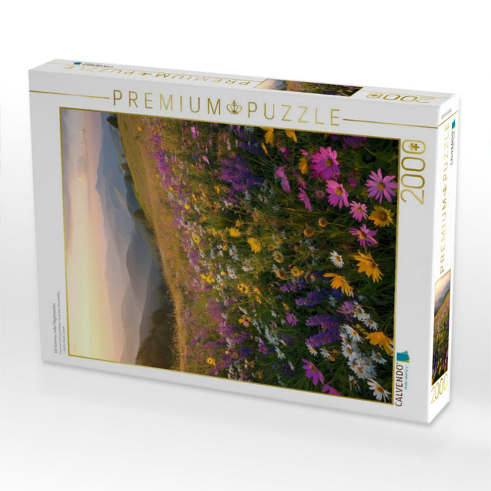 Ein Sommer voller Möglichkeiten - CALVENDO Foto-Puzzle'