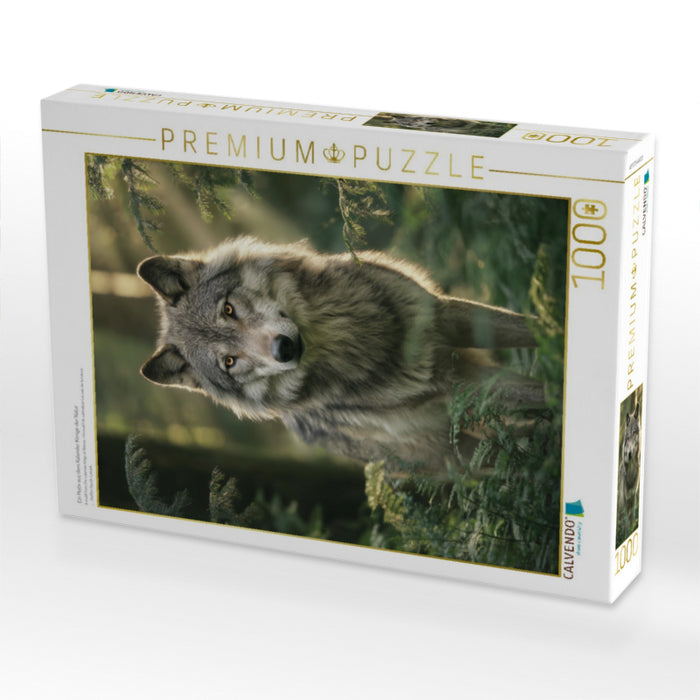 Ein Motiv aus dem Kalender Könige der Natur - CALVENDO Foto-Puzzle'