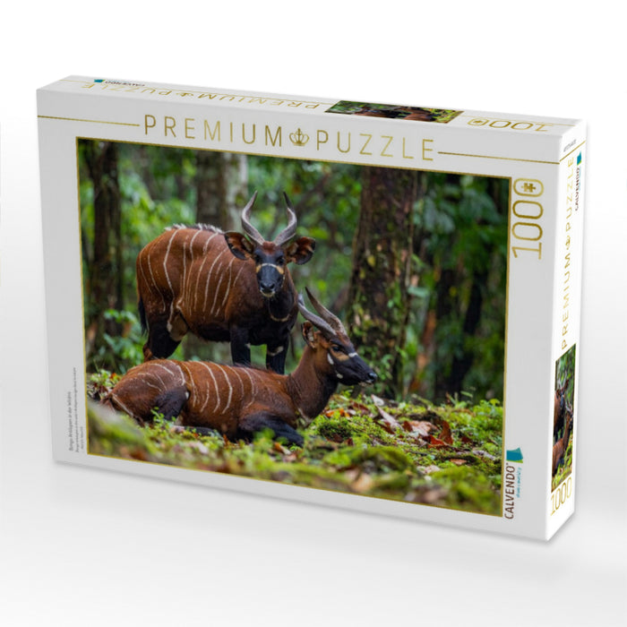Bongo Antilopen in der Wildnis - CALVENDO Foto-Puzzle'