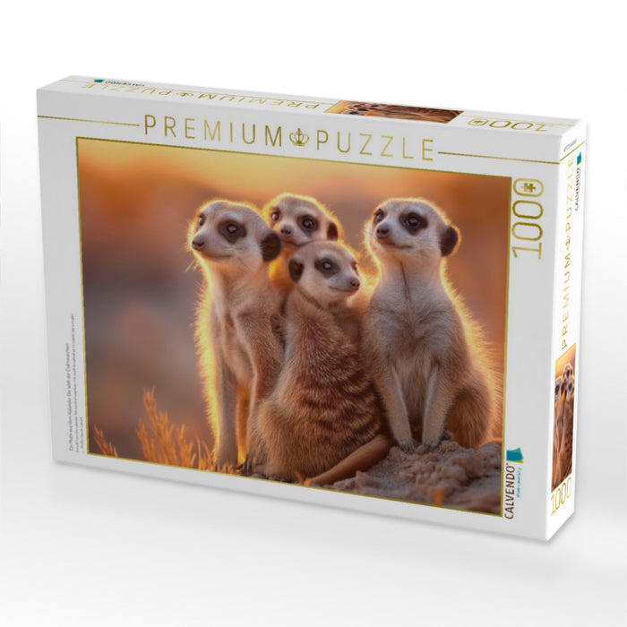 Ein Motiv aus dem Kalender Die Welt der Erdmännchen - CALVENDO Foto-Puzzle'