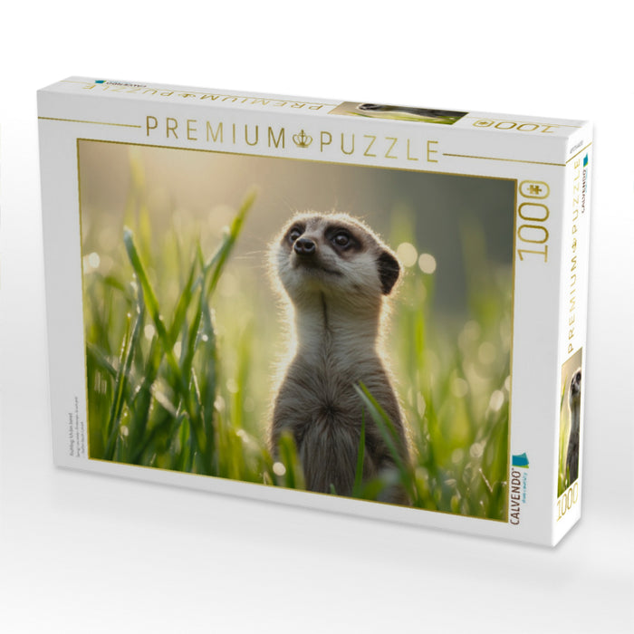 Frühling, Ich bin bereit - CALVENDO Foto-Puzzle'