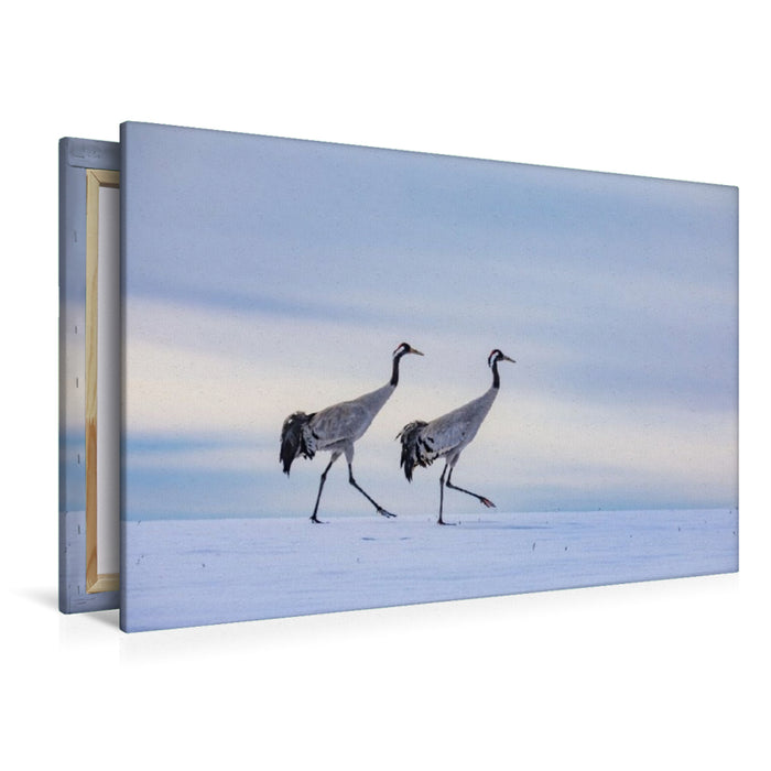 Premium Textil-Leinwand Winterspaziergang der Kraniche auf verschneitem Feld
