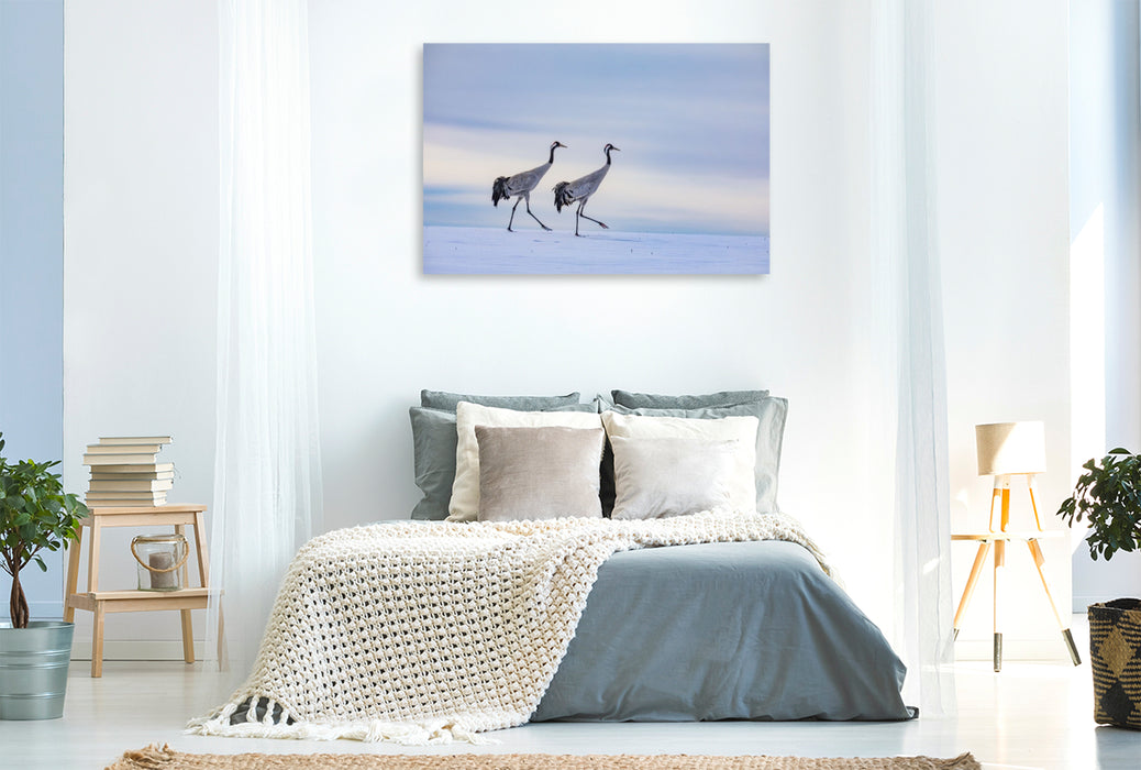 Premium Textil-Leinwand Winterspaziergang der Kraniche auf verschneitem Feld
