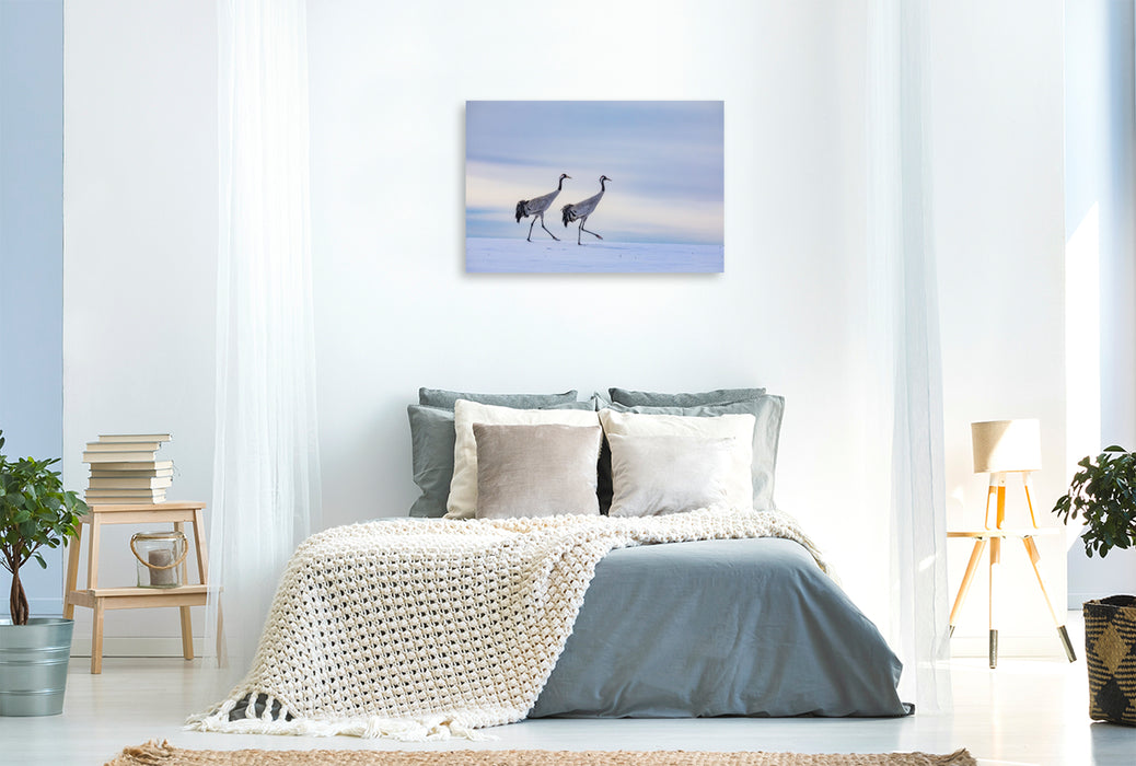 Premium Textil-Leinwand Winterspaziergang der Kraniche auf verschneitem Feld