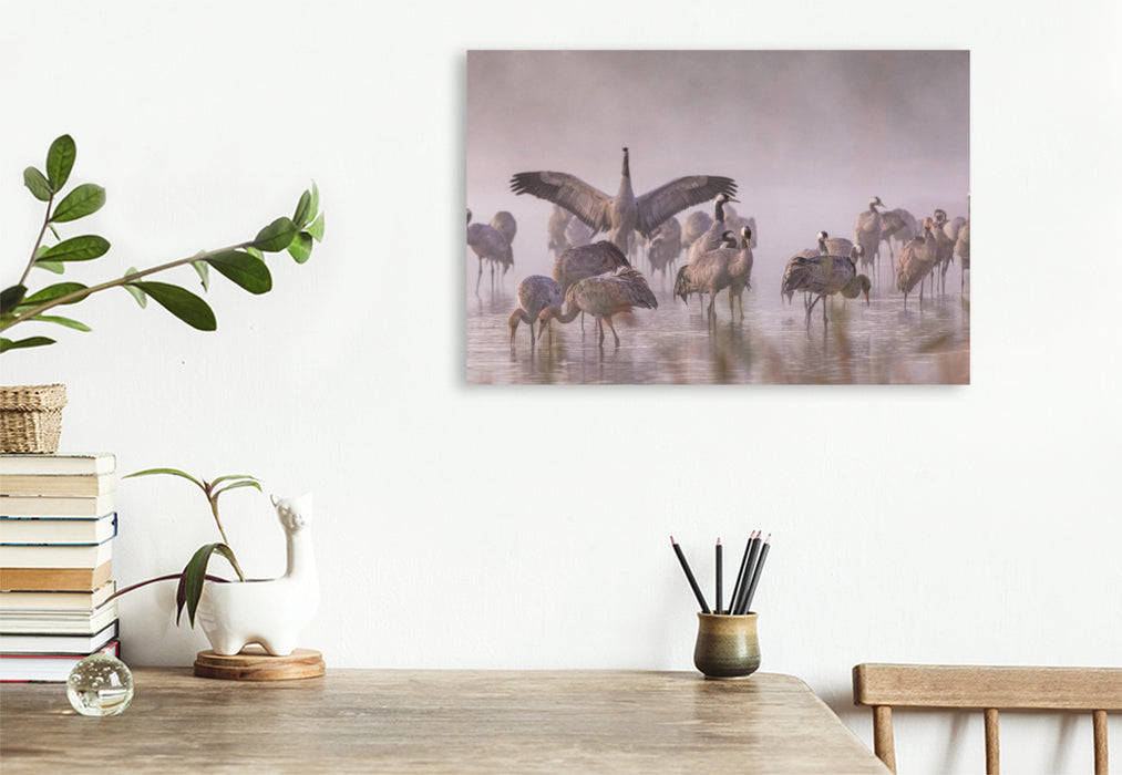 Premium Textil-Leinwand Ein Motiv aus dem Kalender Kraniche am Schlafplatz - im Naturparadies der Mecklenburgischen Seenplatte