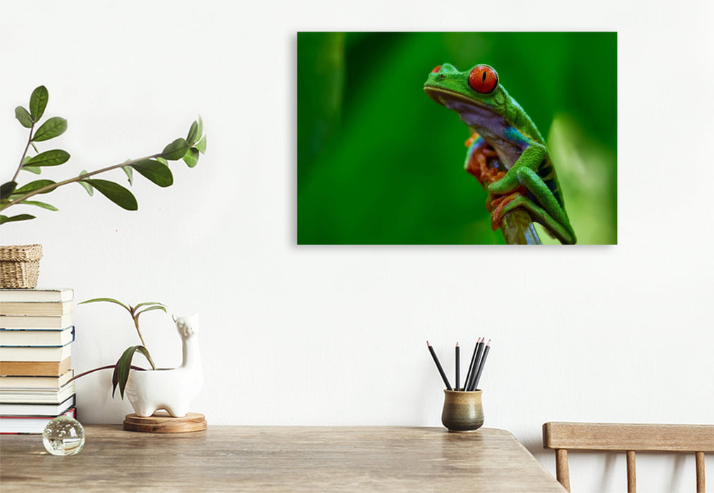 Premium Textil-Leinwand Costa Rica - Rotaugenlaubfrosch