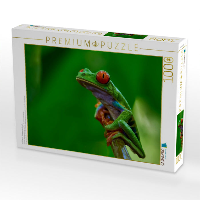Costa Rica - Rotaugenlaubfrosch - CALVENDO Foto-Puzzle'