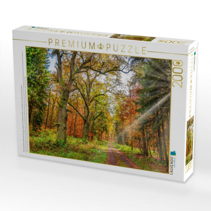 Märchenhafter Wald mit knorrigen Eichen im Herbstlicht lädt zum Wandern ein, Hessen Deutschland - CALVENDO Foto-Puzzle'