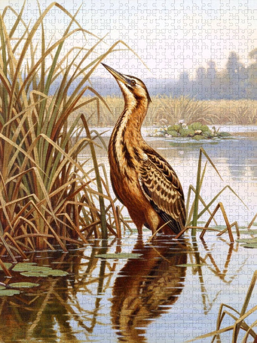 Rohrdommel - seltener Vogel als Gemälde - CALVENDO Foto-Puzzle'