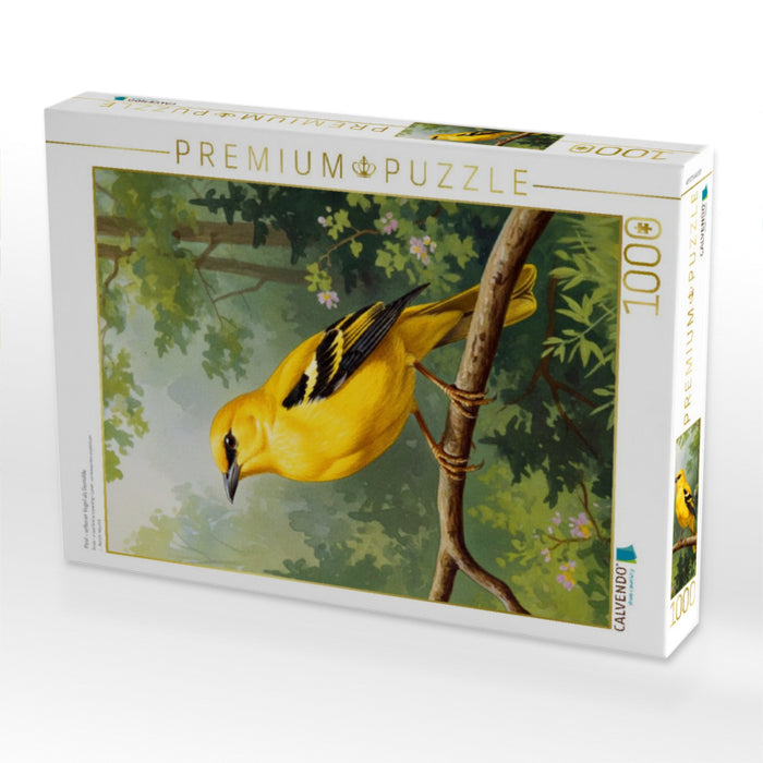 Pirol - seltener Vogel als Gemälde - CALVENDO Foto-Puzzle'