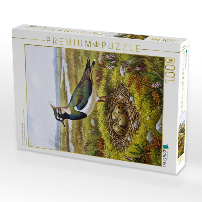 Kiebitz - seltener Vogel als Gemälde - CALVENDO Foto-Puzzle'