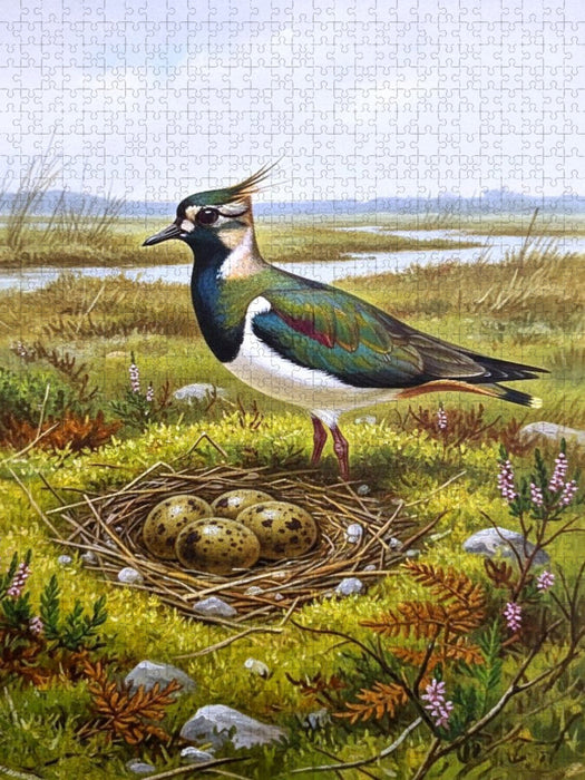 Kiebitz - seltener Vogel als Gemälde - CALVENDO Foto-Puzzle'