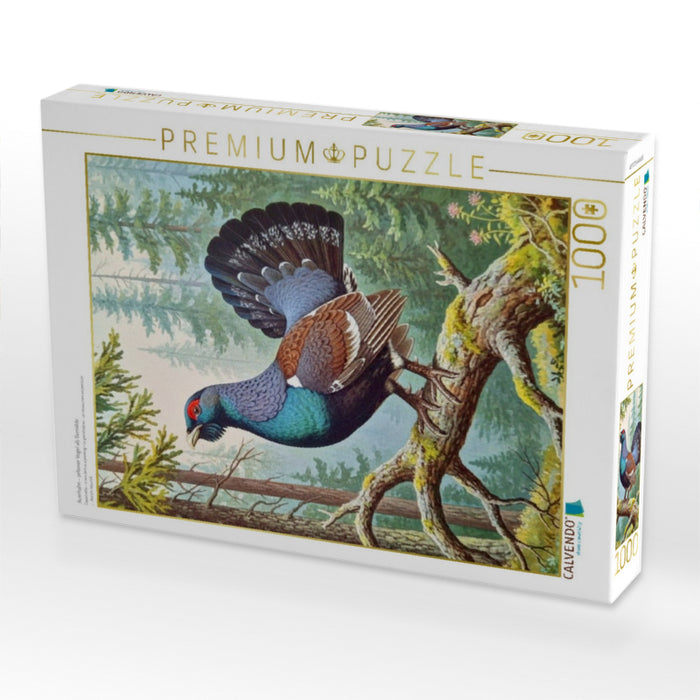 Auerhahn - seltener Vogel als Gemälde - CALVENDO Foto-Puzzle'